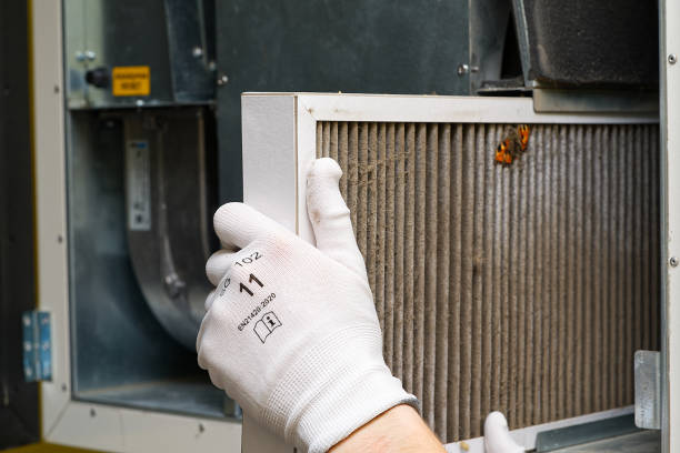 Best Professional Duct Cleaning Services  in Audubon, IA